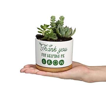 DOMG  Ceramic Succulent Plant Pot Small Flower Planter for Indoor Outdoor Use- Gift for teacher