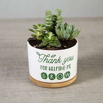 DOMG  Ceramic Succulent Plant Pot Small Flower Planter for Indoor Outdoor Use- Gift for teacher