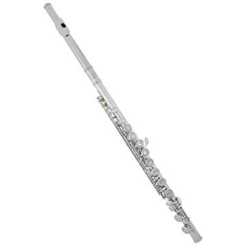 Lazarro Professional Silver Nickel Closed Hole C Flute for Band, Orchestra, with Case, Care Kit and Warranty, 120-NK