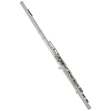 Lazarro Professional Silver Nickel Closed Hole C Flute for Band, Orchestra, with Case, Care Kit and Warranty, 120-NK