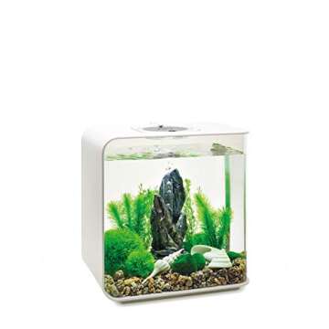 BiOrb Decor Set – 30L Stone Garden, Medium