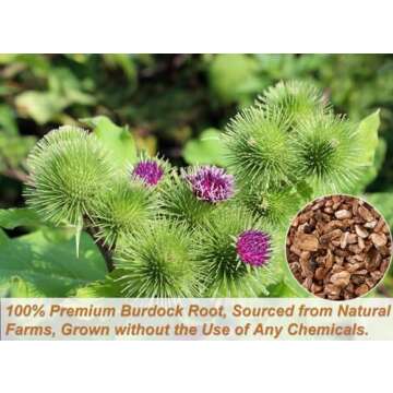 Premium Burdock Root Tea Bags - 140 Natural, Caffeine-Free Bags