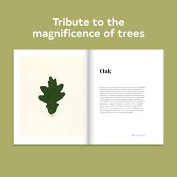 Forest: (Tree Photography Book, Nature and World Photo Book)