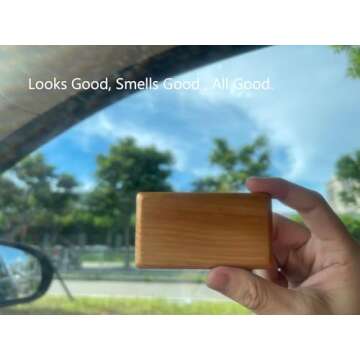 Amber Scent Car Air Freshener Visor Clip Starter Kit