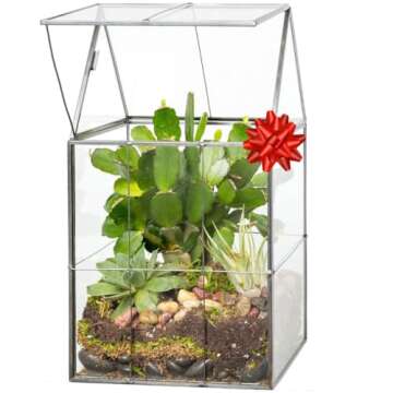 D'Eco Glass Geometric Plant Terrarium (6"x5"x11") - Indoor Tabletop Black Hinged Roof Planter Terrarium for Succulents, Air Plants, Moss - Home, Garden, Wedding & Office Decor- Gift for Plant Lovers