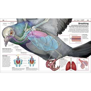 Knowledge Encyclopedia Science! (DK Knowledge Encyclopedias)