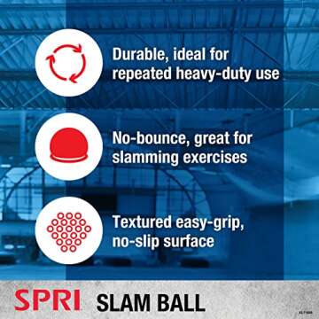 SPRI Dead Weight Slam Ball - Durable Sand-Filled No-Bounce Heavy Duty Ball for Tossing, Slamming, Core Strength Training, Endurance, and General Fitness - Easy to Read Weight Label - 15 lb