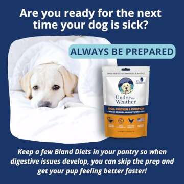 Under the Weather Bland Diet for Dogs | Easy to Digest for Sick Dogs |Always Be Ready | Contains Electrolytes - All Natural Freeze Dried 100% Human Grade Meats | 2 Pack - Rice, Chicken & Pumpkin - 6oz