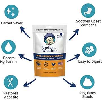 Under the Weather Bland Diet for Dogs | Easy to Digest for Sick Dogs |Always Be Ready | Contains Electrolytes - All Natural Freeze Dried 100% Human Grade Meats | 2 Pack - Rice, Chicken & Pumpkin - 6oz