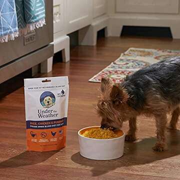 Under the Weather Bland Diet for Dogs | Easy to Digest for Sick Dogs |Always Be Ready | Contains Electrolytes - All Natural Freeze Dried 100% Human Grade Meats | 2 Pack - Rice, Chicken & Pumpkin - 6oz