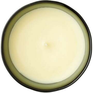 Cire Trudon Ernesto Candle - Leather & Tobacco