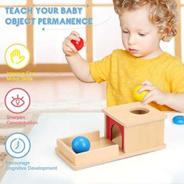 TOY Life Object Permanence Box with Tray and 3 Balls Montesorri Toys 6-12 Months Ball Drop Toy Box Wooden Baby Montessori Toys for Babies 6 to 12 Months Early Educational Montessori Toys