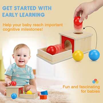 TOY Life Object Permanence Box with Tray and 3 Balls Montesorri Toys 6-12 Months Ball Drop Toy Box Wooden Baby Montessori Toys for Babies 6 to 12 Months Early Educational Montessori Toys