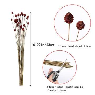 MHMJON 30 Pcs Dried Flowers Bouquet Bulk Mini Billy Ball Flowers Pine Cone Flowers Natural Dried Flowers for Vase Handmade Fake Flowers for Home Indoor Kitchen Office DIY Wedding Table Decor (16.9")