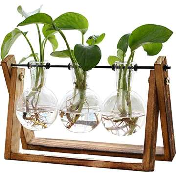 Terrarium Planter Hydroponics