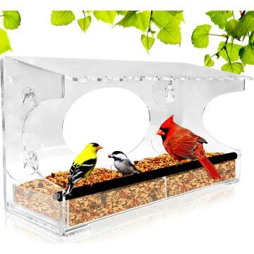 XL Window Bird Feeder