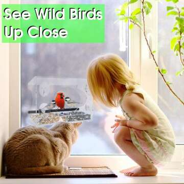 XL Window Bird Feeder