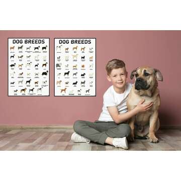 3D Dog Breeds Posters Set