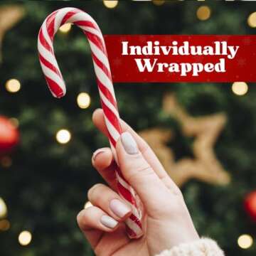 Christmas Candy Canes - Peppermint Delight in Bulk 12 Pack