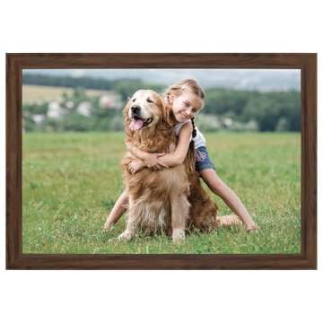 Gallery Solutions - 20"x30" - White Wood Wall Mount Poster Frame - Enhance Your Space with Large-Scale Art Display - Rectangular Wall Mount - Hanging Frame - Home Accents - Interior Design