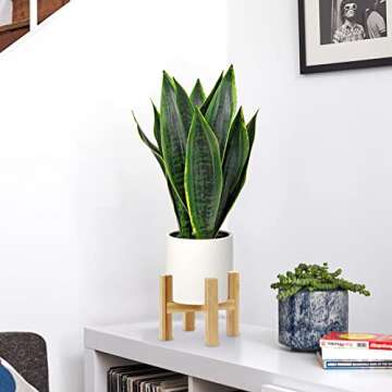 Briful Fake Snake Plant 16" Faux Potted Plant Artificial Snake Plant with White Ceramic Pot Sansevieria Plant Perfect for House Modern Living Room Office Housewarming Gift Indoor Decor