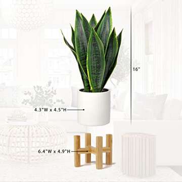 Briful Fake Snake Plant 16" Faux Potted Plant Artificial Snake Plant with White Ceramic Pot Sansevieria Plant Perfect for House Modern Living Room Office Housewarming Gift Indoor Decor