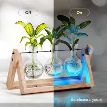 Light Up Bamboo Air Planter - Plant Lover Gifts for Women, Unique Easter Gift, Best Indoor Gardening Housewarming Office Home Decor, Mom, Grandma, Her, Sister, Friend, Birthday, Garden Terrarium