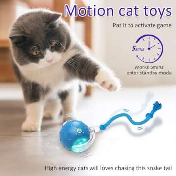 Giociv Interactive Cat Toys Ball for Indoor Cats Fast Rolling on Carpet, Chirping & Motion Activate Cat Toys (Blue)