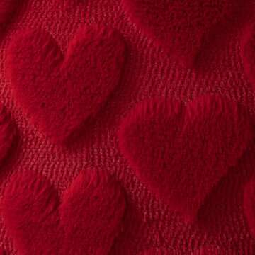 DFXSZ Valentines Pillow Covers 18x18 inch Set of 2 Valentines Day Decoration Red Heart Soft Plush Faux Fur Jacquard Throw Pillows for Bedroom Sofa Holiday Festivals Home Decor PTK017A18