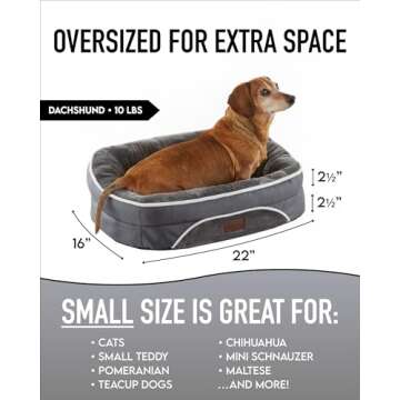 OhGeni Orthopedic Dog Bed for Small Dogs in Gray