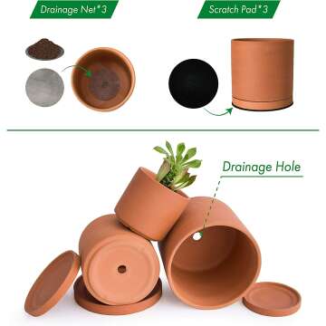 D'vine Terracotta Plant Pots