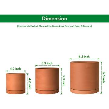 D'vine Terracotta Plant Pots