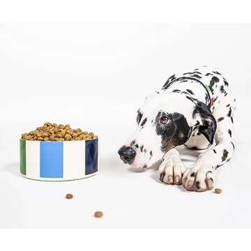 kate spade new york Dog Dish for Food and Water, Stainless Steel Bowl with Non-Slip Base, 4 Cup (32oz) Capacity, Large Pet Food Bowl or Water Dish for Dogs, Adventure Stripe