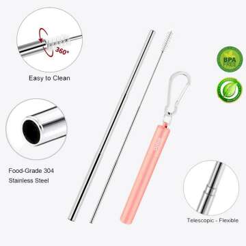 Collapsible Metal Straws 2 Pack