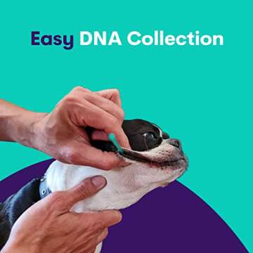 ORIVET Dog DNA Test Kit - Labrador Retriever Full Breed Profile | Puppy Testing Against 250 Medical Health Risks & Traits | Genetic Fingerprint & Wellness Plan | at Home Cheek Swab