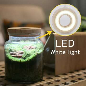 LED Plant Terrarium Set