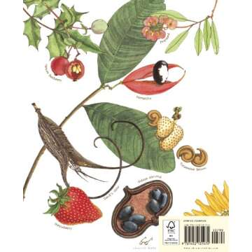 A Seed Is Sleepy: (Nature Books for Kids, Environmental Science for Kids) (Sylvia Long)