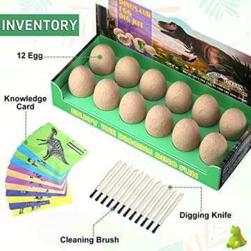 Bigear Dinosaur Eggs Excavation Dig Kit - Dinosaur Toys for Kids - Break Open 12 Dinosaur Eggs and Discover 12 Cute Dinosaurs - Archaeology Preschool Science STEM Crafts Birthday Gifts for Boys Girls