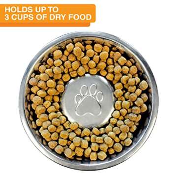 Neater Pet Brands Stainless Steel Slow Feed Bowl for Dogs or Cats - Fits in Neater Feeders and Other Raised Feeders (3 Cup)