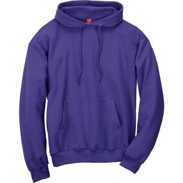 Hanes Men's Hoodie