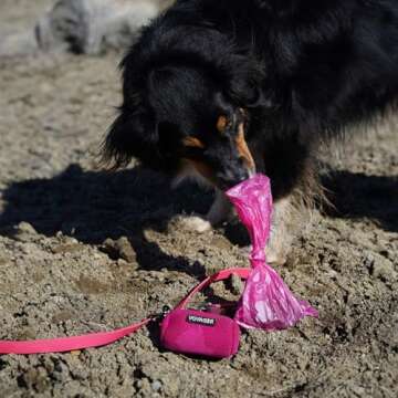 Best Pet Supplies Dog Poop Bags (150 Bags) for Waste Refuse Cleanup, Doggy Roll Replacements for Outdoor Puppy Walking and Travel, Leak Proof and Tear Resistant, Thick Plastic - Pink Heart