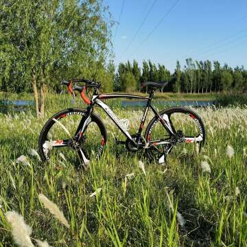 EUROBIKE 700C Road Bike with 21 Speeds & Disc Brakes