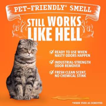 Pet Odor Eliminator – Angry Orange Enzyme 24 Fl Oz