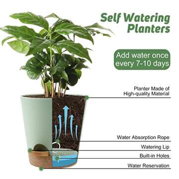 Self Watering Indoor Planters - 6 Sizes