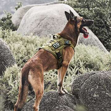 Tactical Dog Harness - No-Pull Vest for Training & Hiking