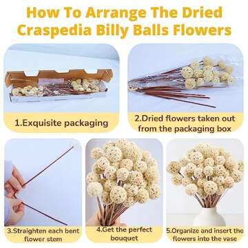 30 PCS Natural Dried Craspedia Billy Balls Flowers, 17” Dried White Flowers Buttons Bouquet for Vase Floral Arrangements Wedding Table Centerpieces Party DIY Home Decor, Christmas Tree Decoration