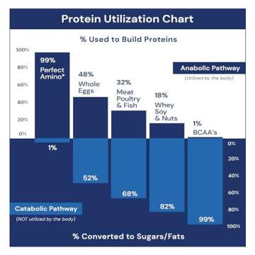 BodyHealth PerfectAmino (300 Tablets) Essential Amino Acid Supplement with BCAA and EAA, Muscle Recovery, Boost Energy & Stamina, 99% Utilization, Vegan Branched Chain Protein Pre/Post Workout