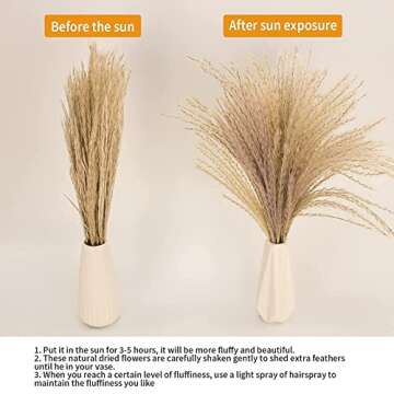 65PCS Pampas Grass Decor, Including pompas Floral, Reed Dried Grass and Bunny Tails Dried Flowers, Natural Dried Pampas Grass Bouquet for Boho Decor Wedding, Home Decoration