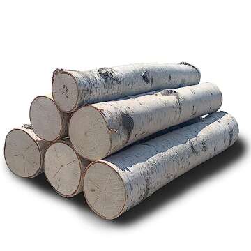 Wilson Decorative White Birch Logs, Natural Bark Wood Home Décor - 15.5-17.5" in Length 1.5"-4" Dia. (Set of 6)