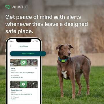 Whistle GPS Dog Tracker